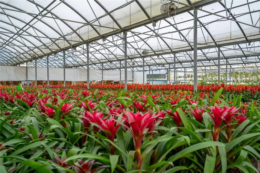 19500 SW 240th St, Homestead, FL 33031 - Image #3