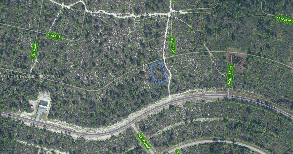 7651 Rosebud Drive, Sebring, FL 33872 - Image #1