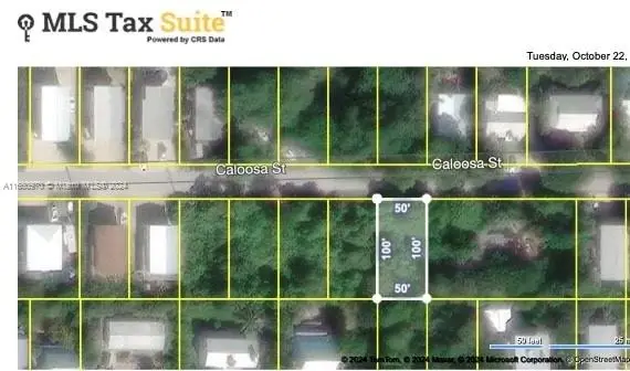 Lot 32 Caloosa St, Summerland Key, FL 33042 - Image #3