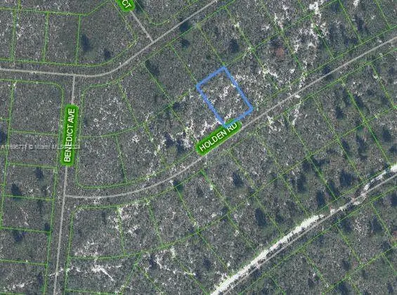 6552 Holden Road, Sebring, FL 33872 - Image #1