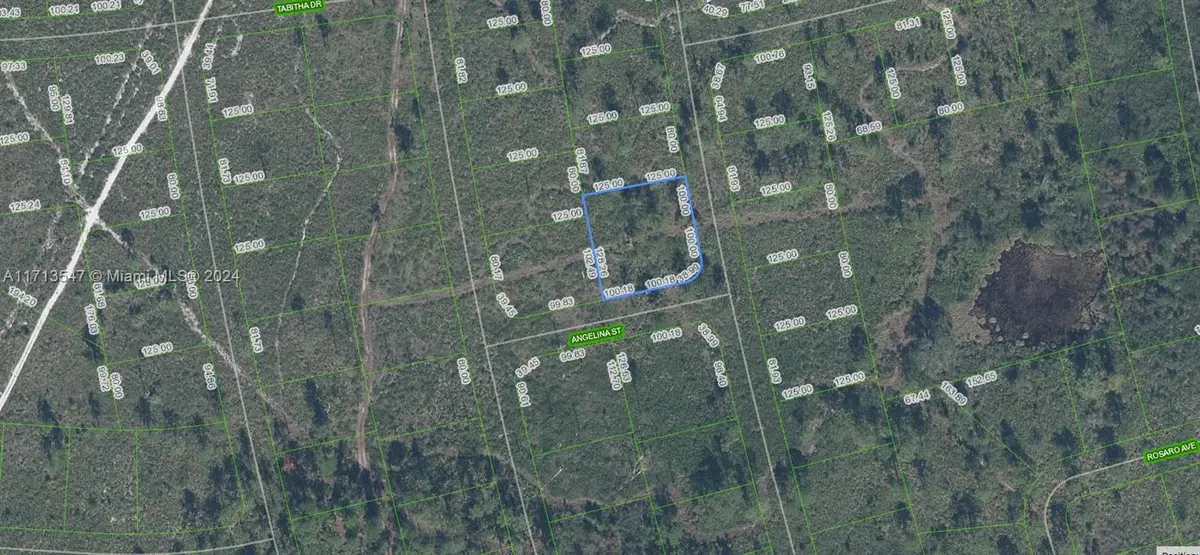 4703 San Pedro Drive, Sebring, FL 33872 - Image #1