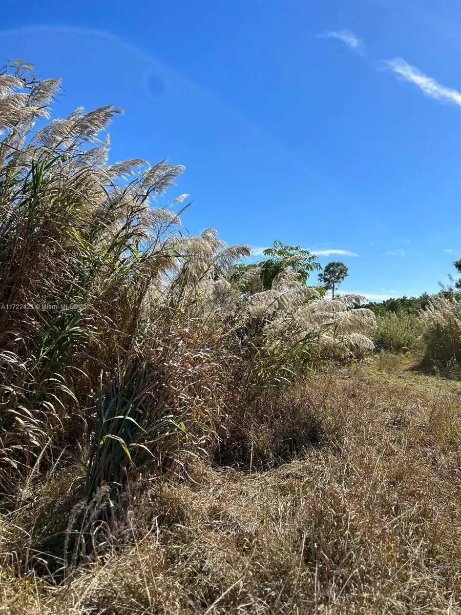 112th Ct Sw, Princeton Goulds, FL 33170 - Image #2