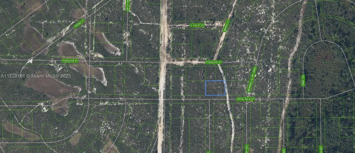 6033 Royal Palm Street, Sebring, FL 33870 - Image #1