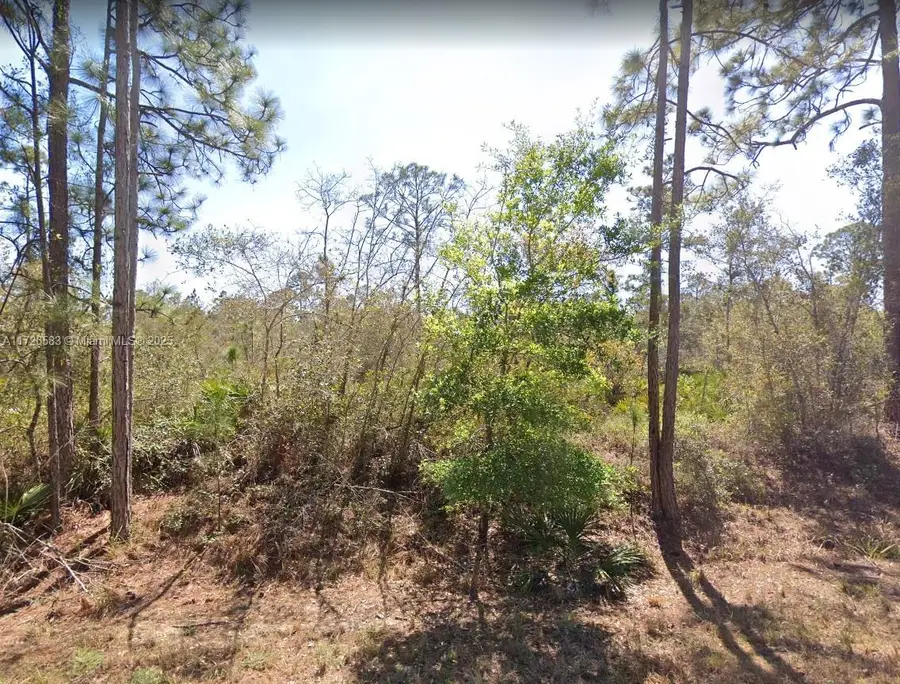 Address Withheld By Seller, Lake Placid, FL 33852 - Image #3