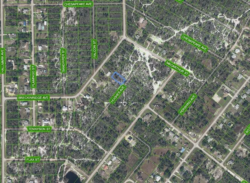 1066 Hughes Avenue, Lake Placid, FL 33852 - Image #2