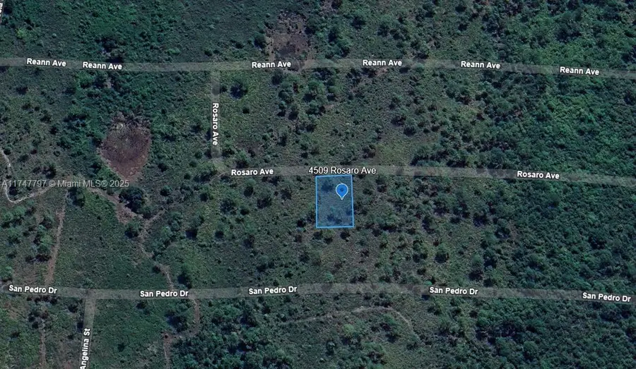 4509 Rosaro Ave, Sebring, FL 33872 - Image #2