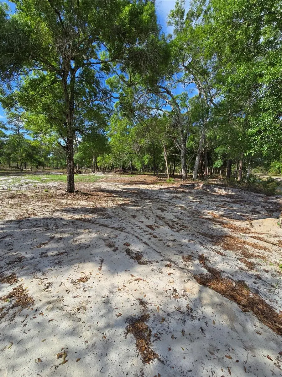 810 S Shetland, Clewiston, FL 33440 - Image #3