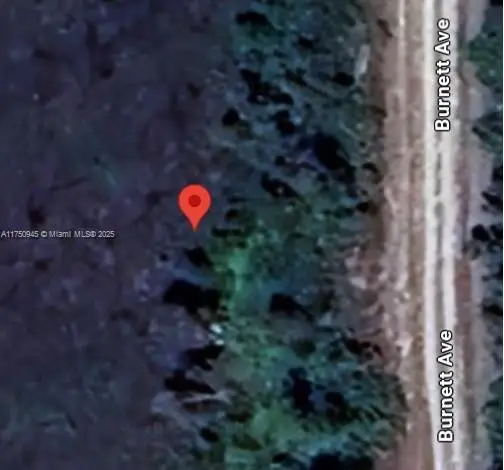 852 Burnett Ave, Lehigh Acres, FL 33974 - Image #2