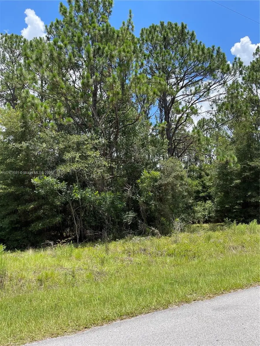 tbd SW 59th Ln, Other, FL 34431 - #3