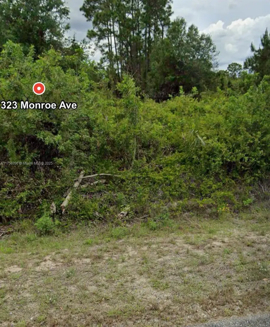 323 Monroe Ave, Lehigh Acres, FL 33936 - Image #3