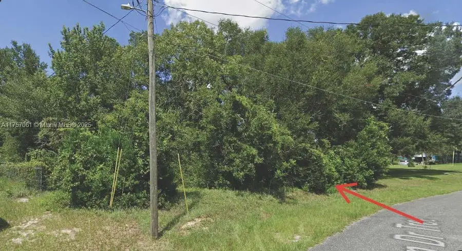 XX Pecan Drive Trce, Ocala, FL 34472 - Image #3