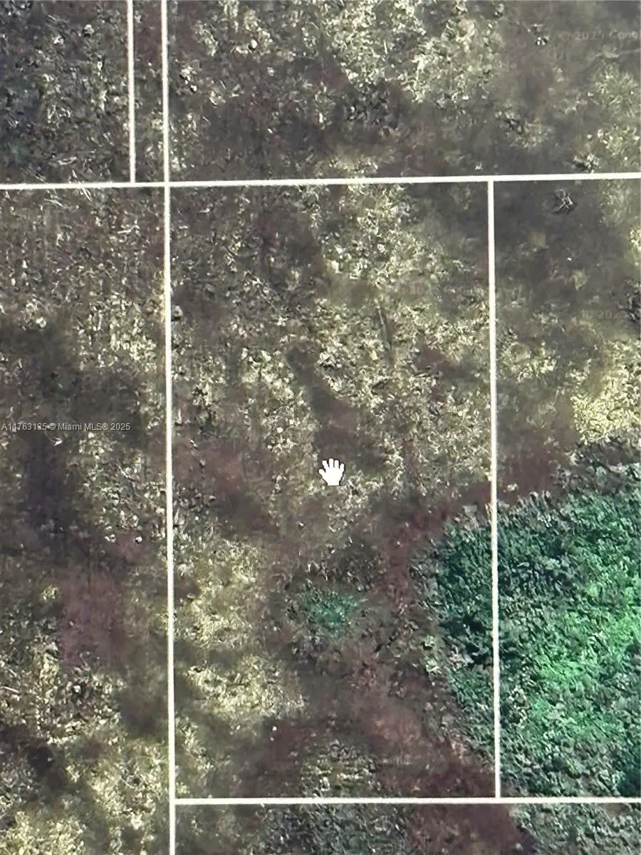 0016 Acerage, Miami, FL 33035 - #2