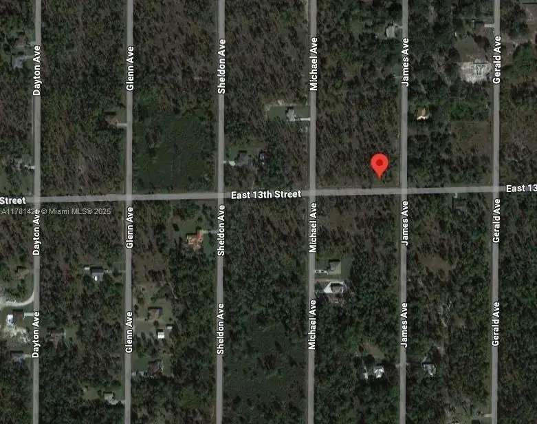 1301 James Avenue, Lehigh Acres, FL 33972 - Image #1