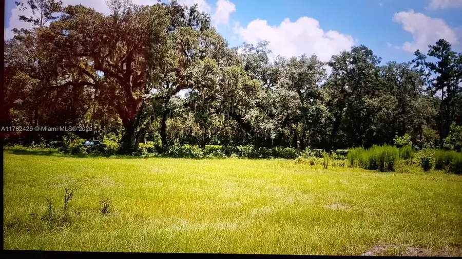 3450 Se Hwy 464c, East Marion, FL 32179 - Image #3