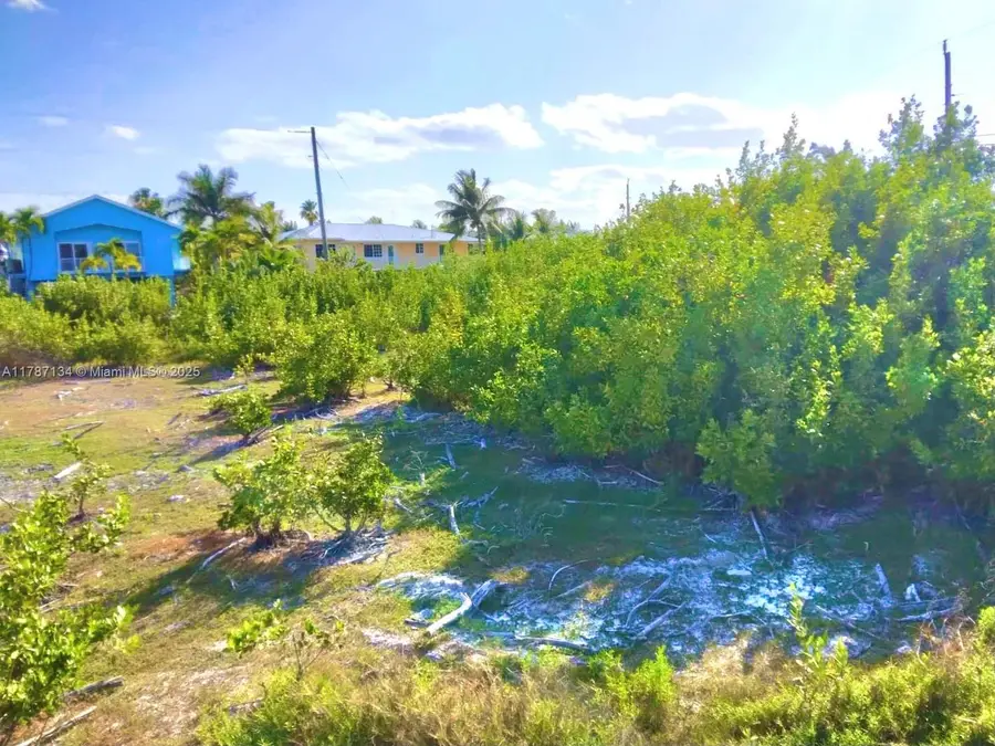 0 Santa Barbara, Marathon, FL 33050 - Image #3