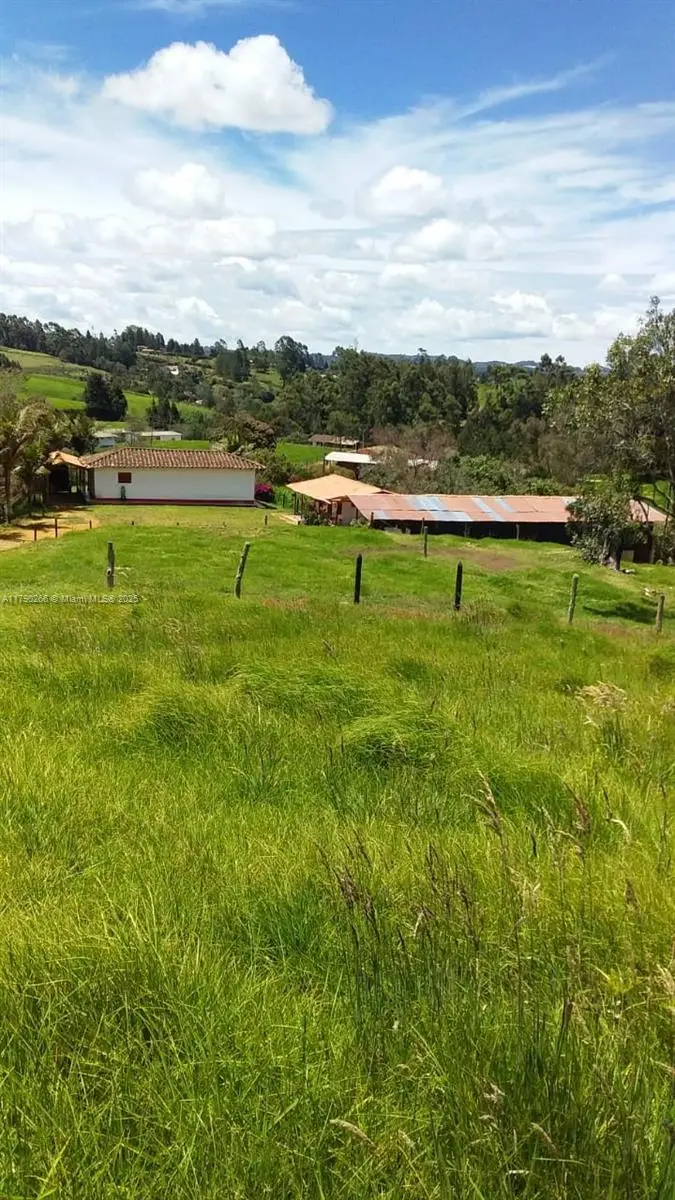 Guarne Vereda Brizuela, Burlington, FL 054050 - #3