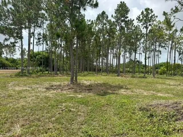 197 SW 332 St, Homestead, FL 33034 - Image #2