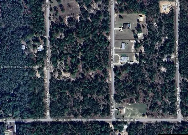 0 SW Lemon Hill Dr, Other, FL 34431