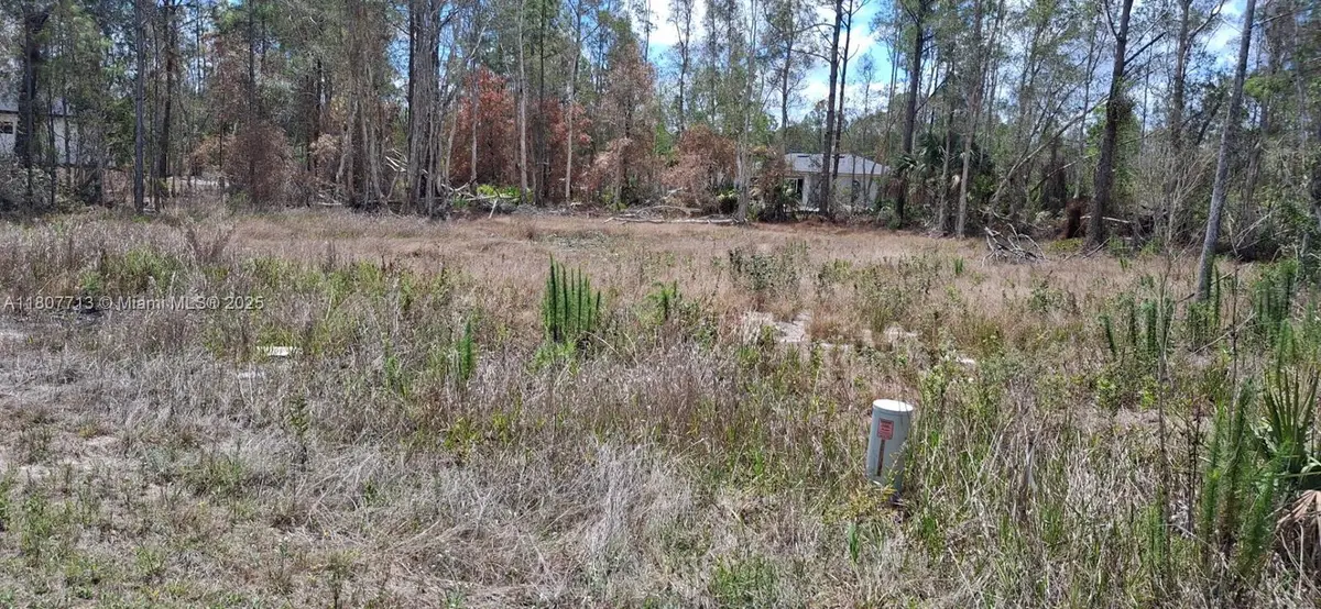 630 Ladd St, Lehigh Acres, FL 33974 - #1