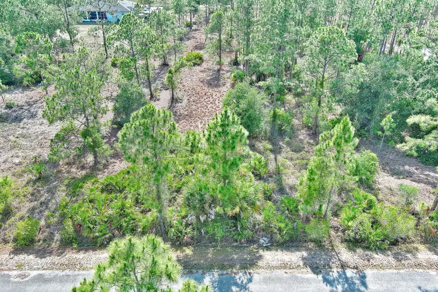 317 Fitch Ave, Lehigh Acres, FL 33936 - #3