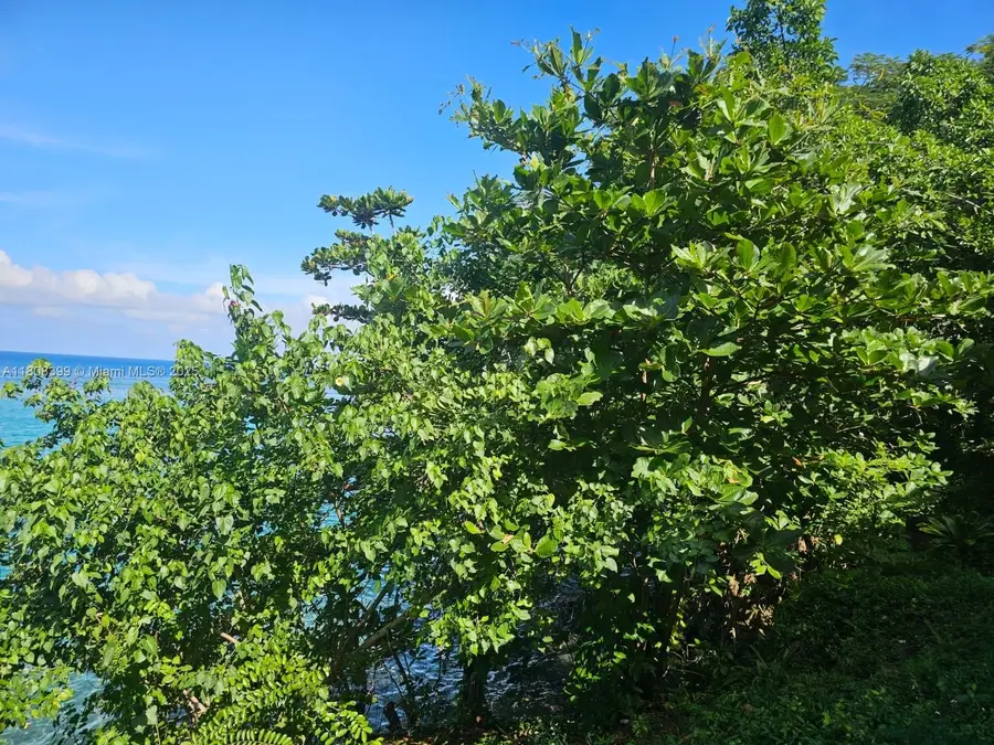00 Estate With Cottages  Boscobel Beach, St. Mary, J, Grant, J  - #3