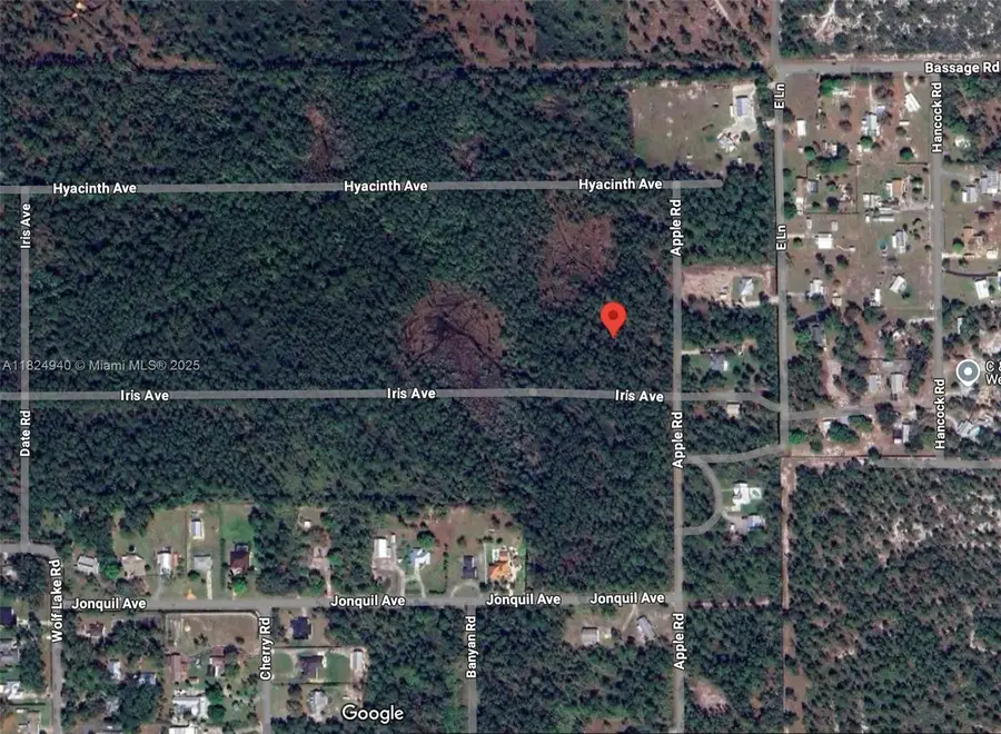 910 Iris Avenue, Sebring, FL 33875 - Image #3