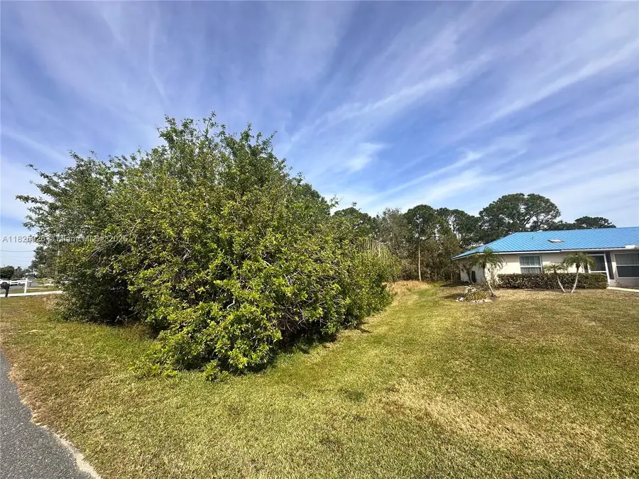 131 Blue Moon Avenue, Lake Placid, FL 33852 - Image #3