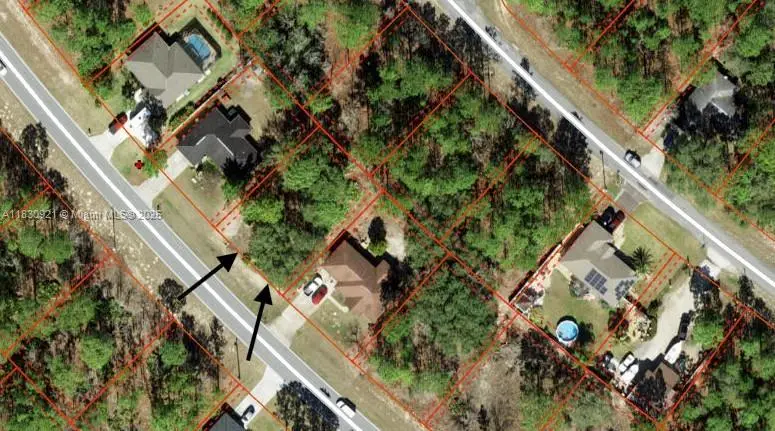 1139 W Hampshire, Citrus Springs, FL 34434 - Image #3