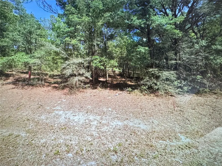 5565 SW SW 199th Ct, Dunnellon, FL 34431 - #2