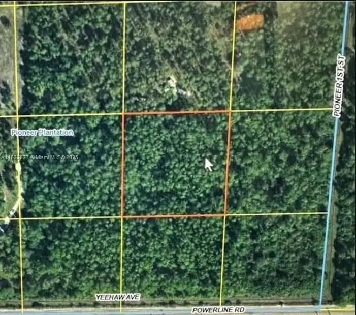 305 Yeehaw Ave, Pioneer, FL 33040 - Image #2