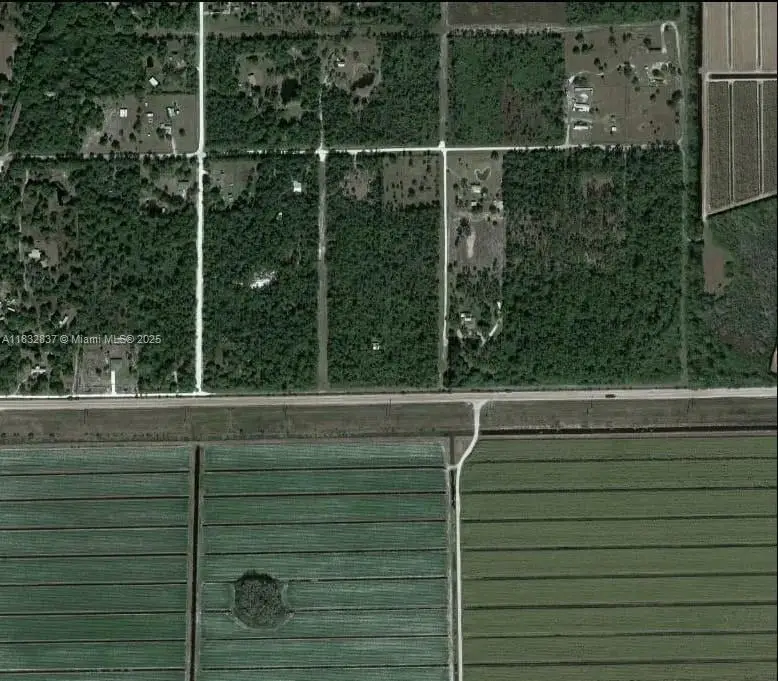 305 Yeehaw Ave, Pioneer, FL 33040 - Image #3