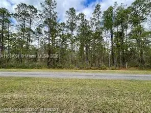 0 Oleander Drive, Lake Wales, FL 33898 - Image #3