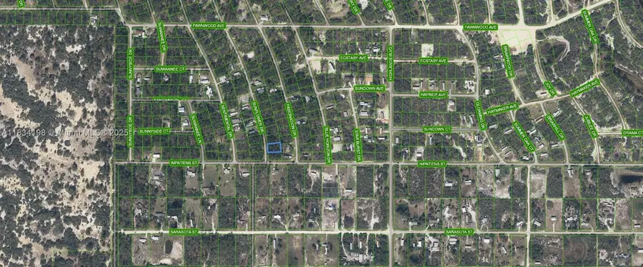 103 Sunflower Dr, Lake Placid, FL 33852 - Image #2