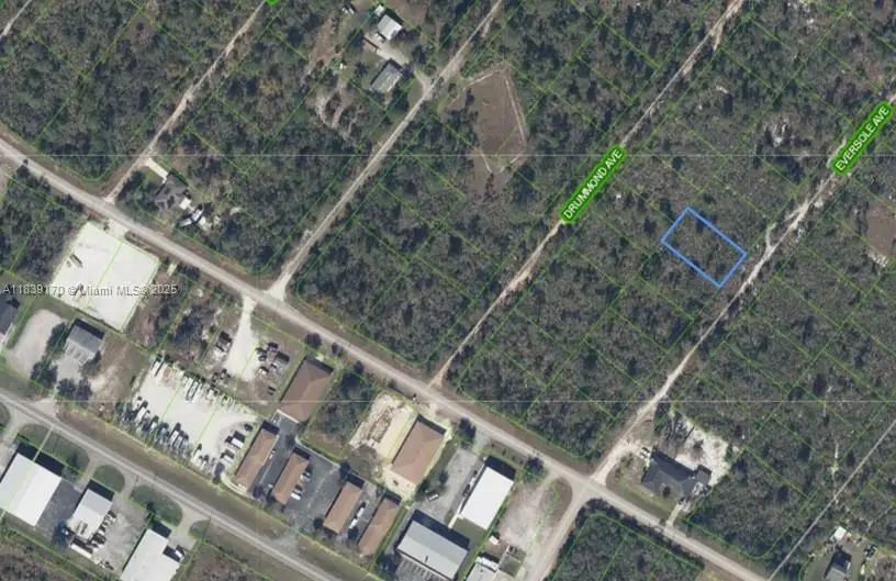 120 Eversole Ave, Lake Placid, FL 33862 - #1