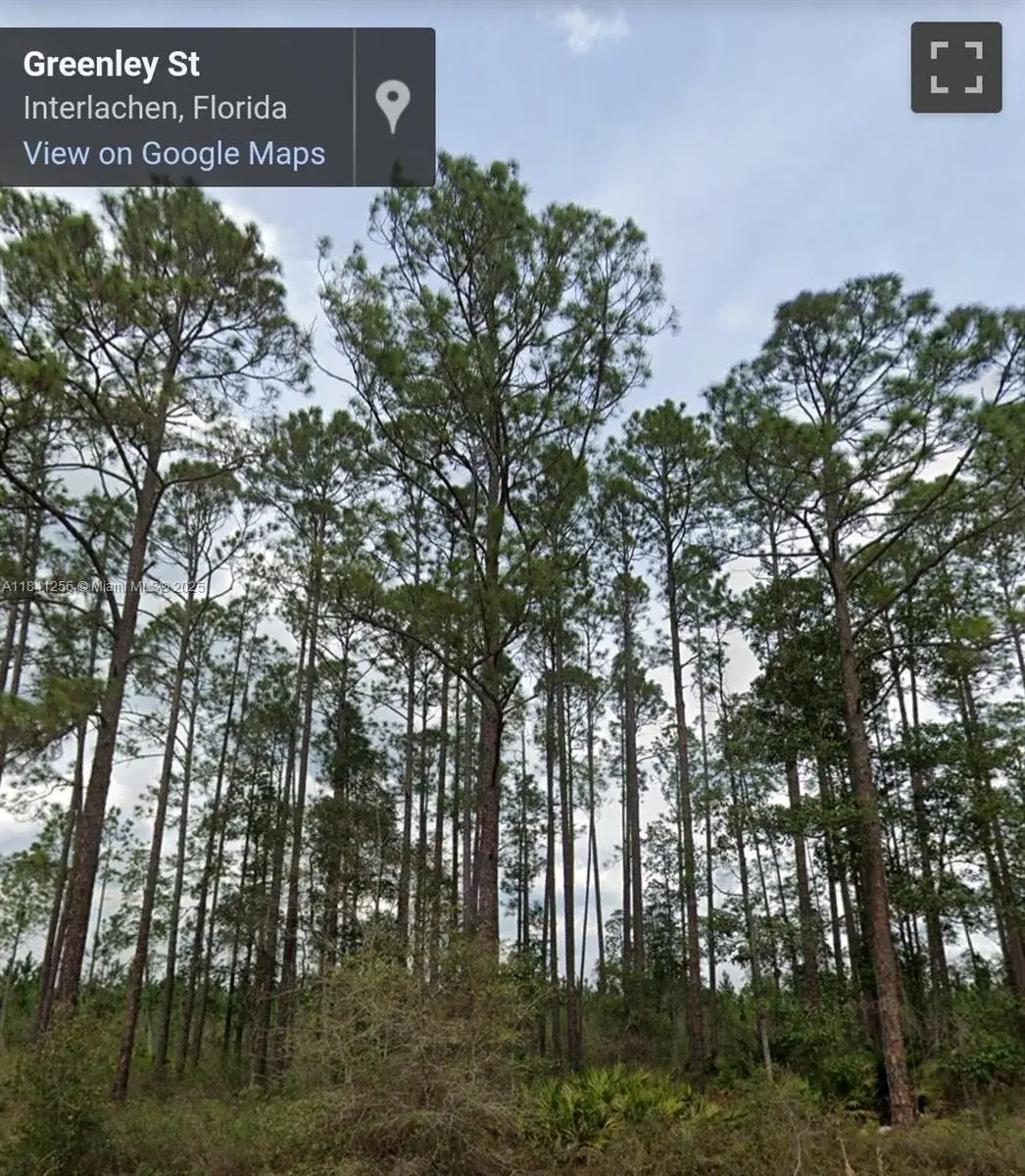 00 Greenley St, Interlachen Florahome, FL 32148 - Image #1