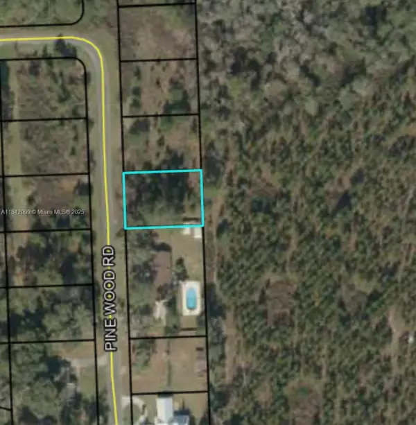 641 Pine Wood Rd, Other, FL 32052