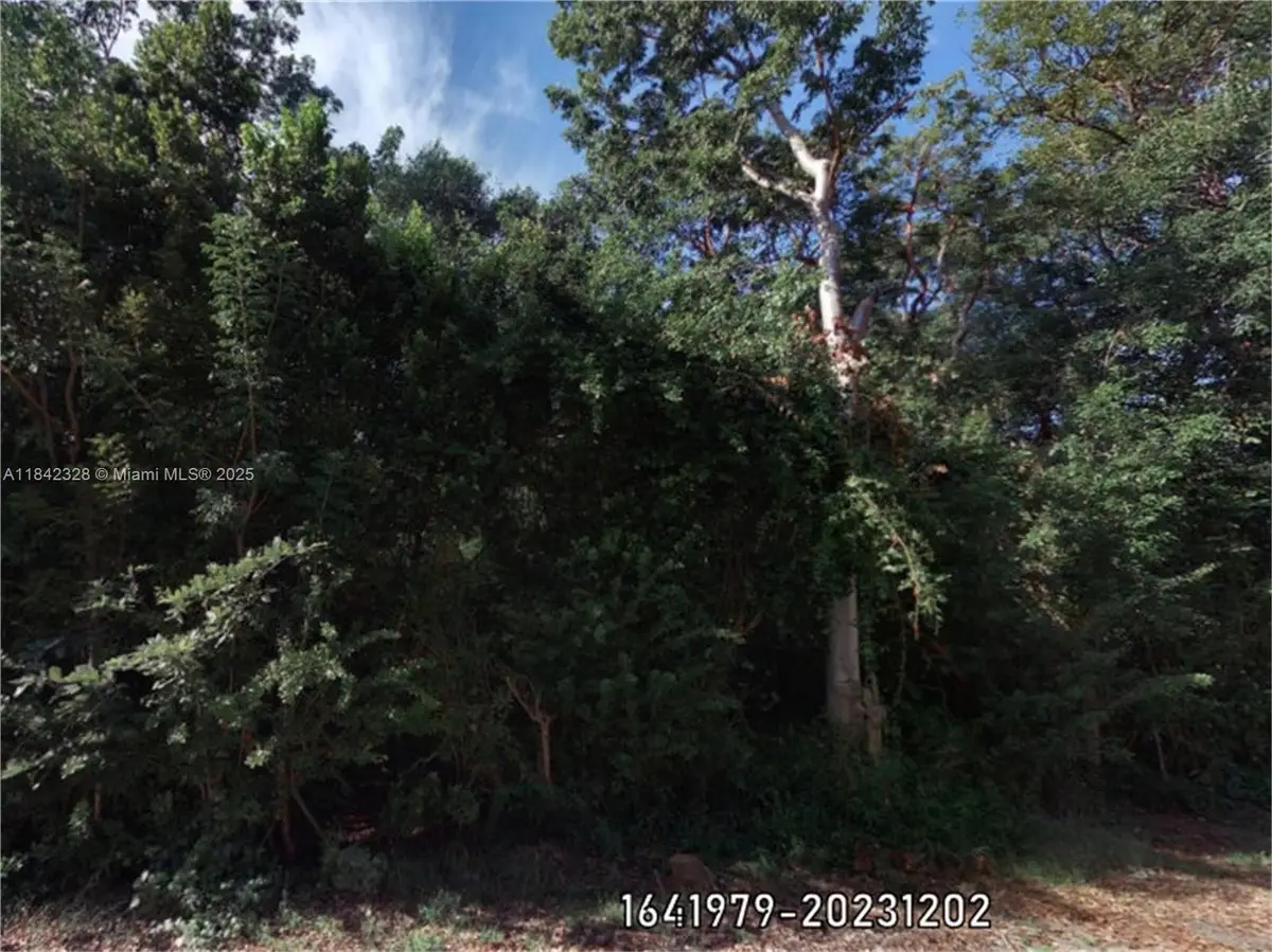 00 Poinsetta, Other, FL 33037 - Image #1