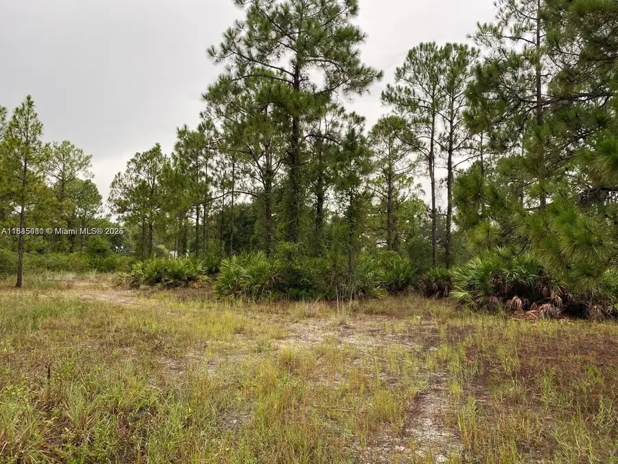 2321 Macarthur Ave, Lehigh Acres, FL 33920 - Image #3