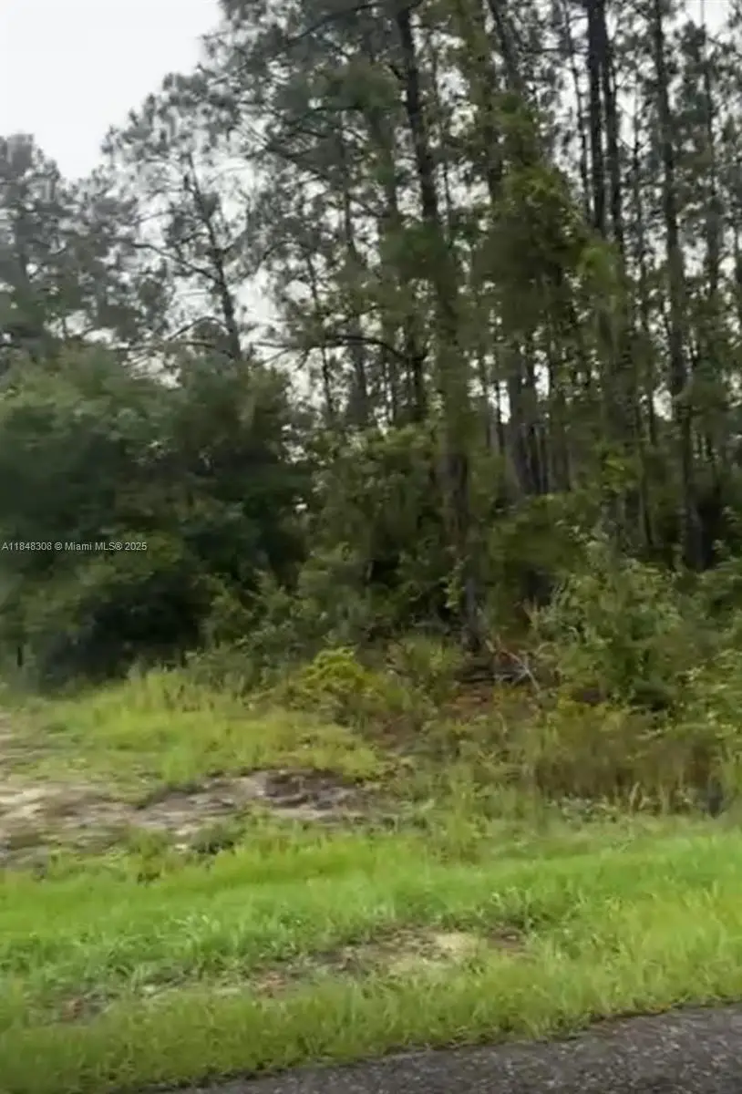 1402 Plumosa Avenue, Lehigh Acres, FL 33972 - Image #3