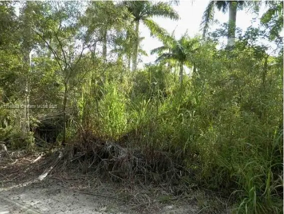 SW 212th Ave, Everglades, FL 33034 - Image #3