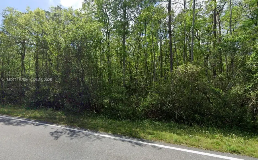 0 Deen Still Rd E, Polk City, FL 33868 - #2