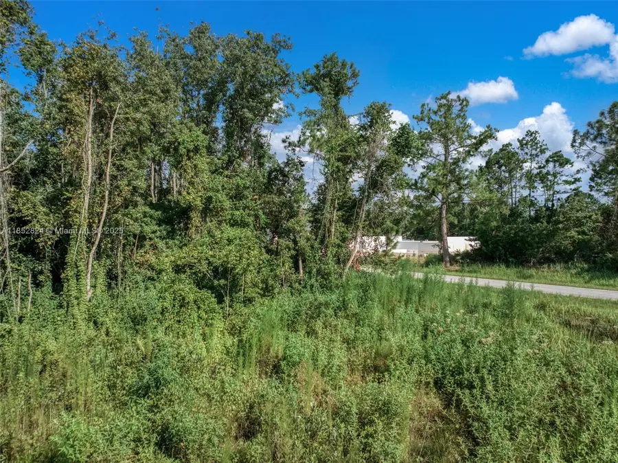 7922 Bernal Drive, Sebring, FL 33872 - Image #3