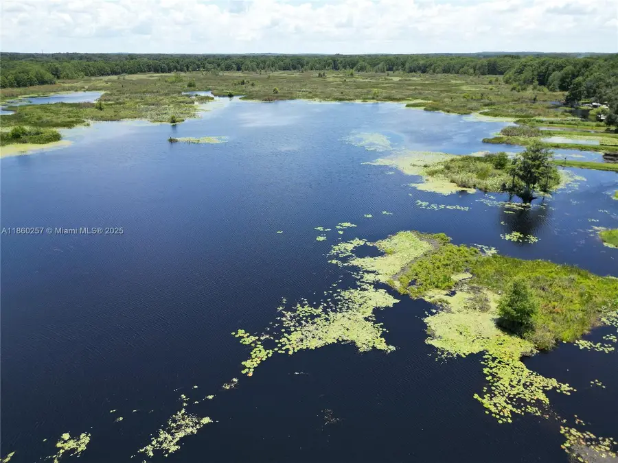 8781 S Lakeshore Drive Floral City, Floral City, FL 34436 - #2