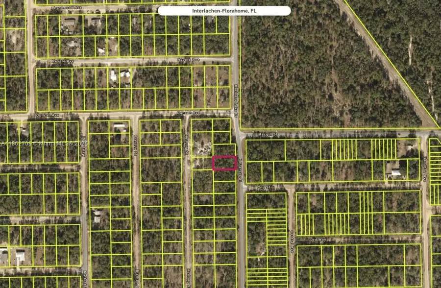 128 N Francis, Interlachen, FL 32148 - #3