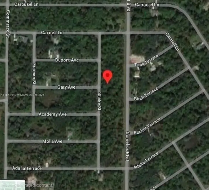 1276 Shake St, Port Charlotte, FL 33953 - Image #3