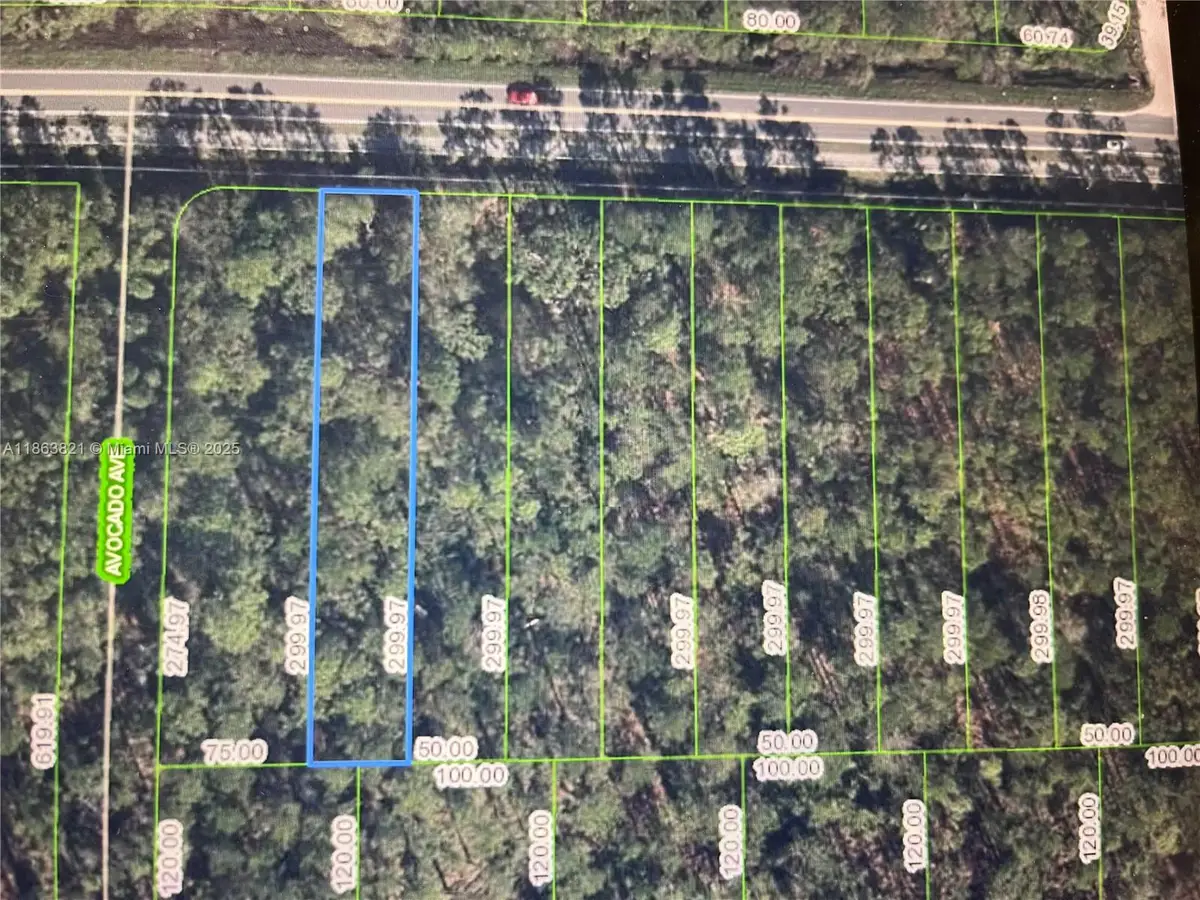 2667 Hammock Rd, Sebring, FL 33872 - Image #1