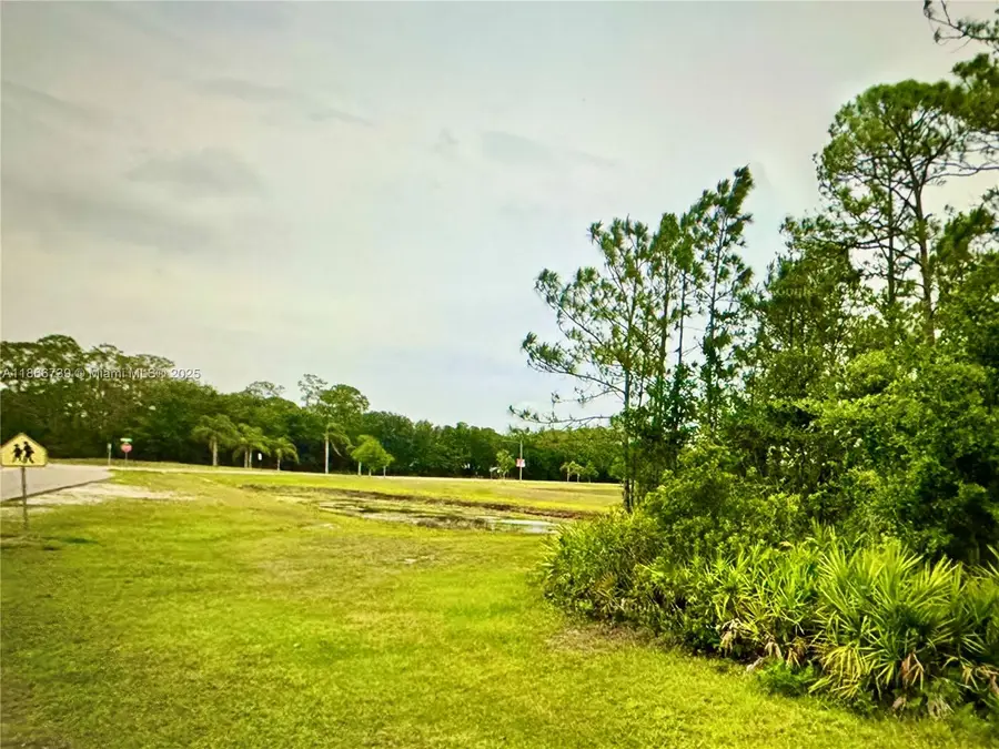 5265 Nervia St, Sebring, FL 33872 - Image #3