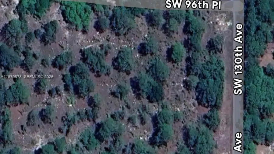 UNDETERMINED SW 130th Ave, Fellowship, FL 34432 - #2