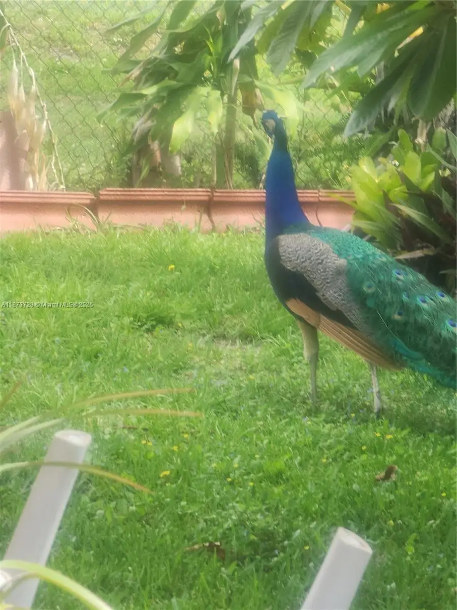 100 S Secretariat, Inverness, FL 34453 - Image #1