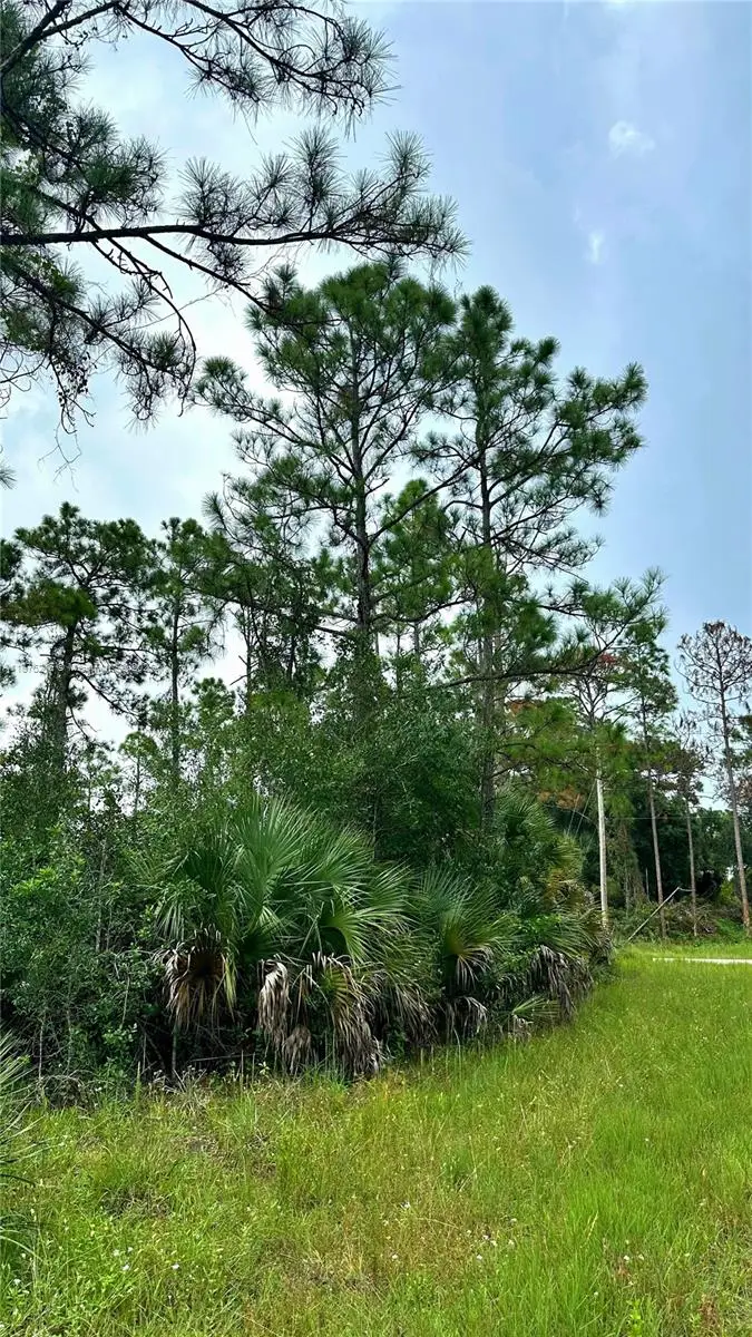 1247 Rake St E, Lehigh Acres, FL 33974 - #1